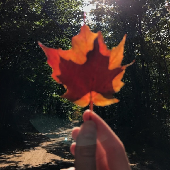 Meet your Posher, Brylie - Picture 1 of 1